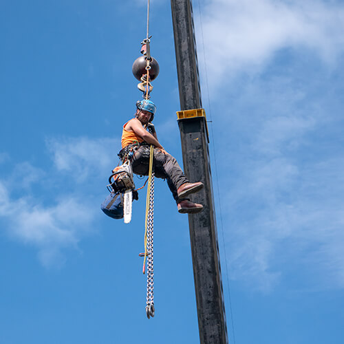 Arborist being lifted on the ball of a crane