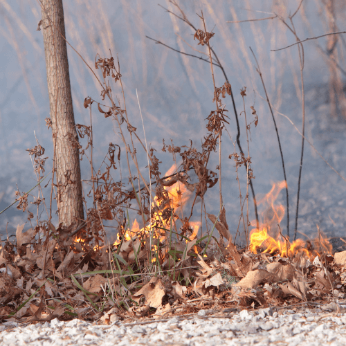 Dead leaves catch fire near a home in West Kelowna