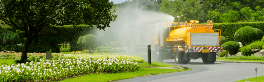 tree watering in fall