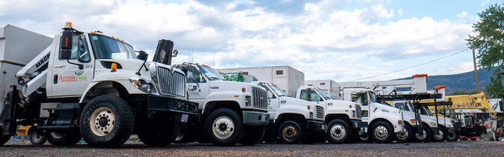 arborist trucks
