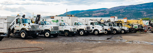 equipment used by arborists