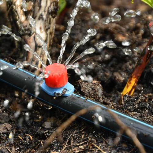 a low flow irrigation system