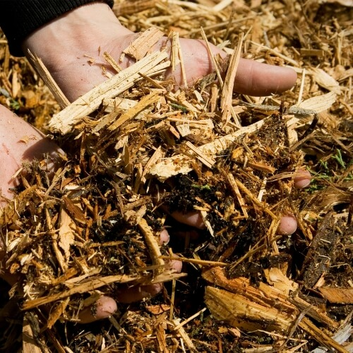 adding mulch